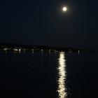 IMG 8489