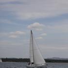 IMG 8536