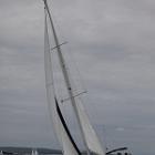 IMG 8544