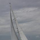 IMG 8584