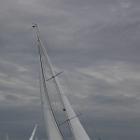 IMG 8591