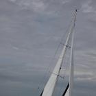 IMG 8596