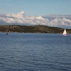 IMG 8675
