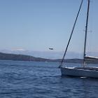 IMG 8738