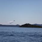 IMG 8741