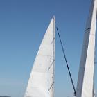 IMG 8780