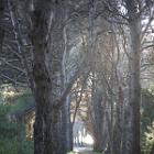 IMG 8820