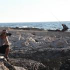IMG 8877