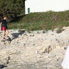 IMG 8888
