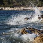 IMG 8891