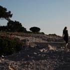 IMG 8895