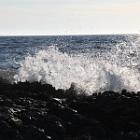 IMG 8934