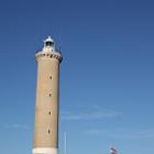 IMG 8951