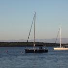 IMG 8963