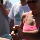 IMG 9163